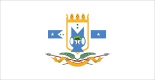 LOGO 5